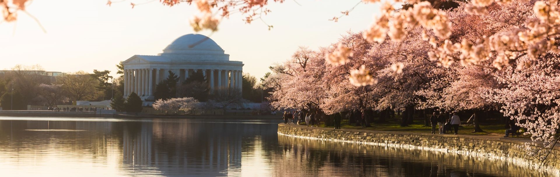 Cover image of Virginia's Historic Treasures & Wine Delights